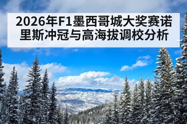 2026年F1墨西哥城大奖赛诺里斯冲冠与高海拔调校分析