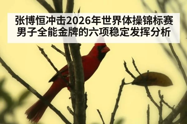 张博恒冲击2026年世界体操锦标赛男子全能金牌的六项稳定发挥分析